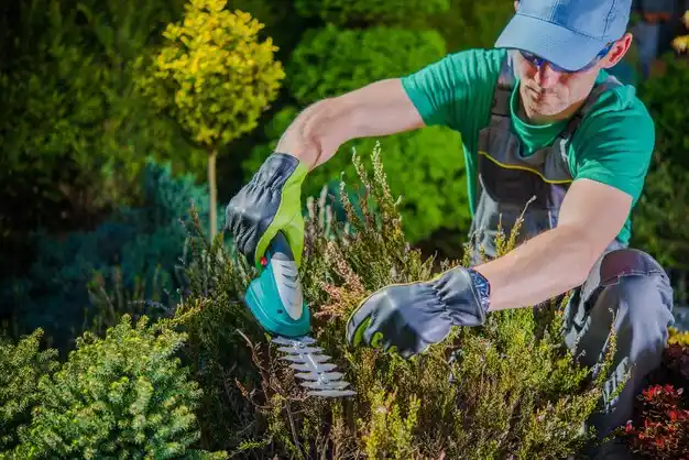 landscaping services Birmingham